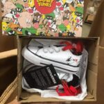 JOURNEYS SHOES pallet 8 JOURNEYS SHOES pallet